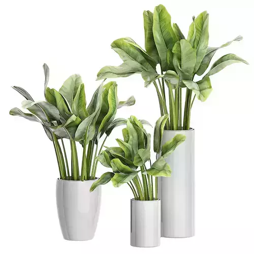 Flower Pack 95 3D model