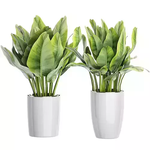 Flower Pack 96 3D model