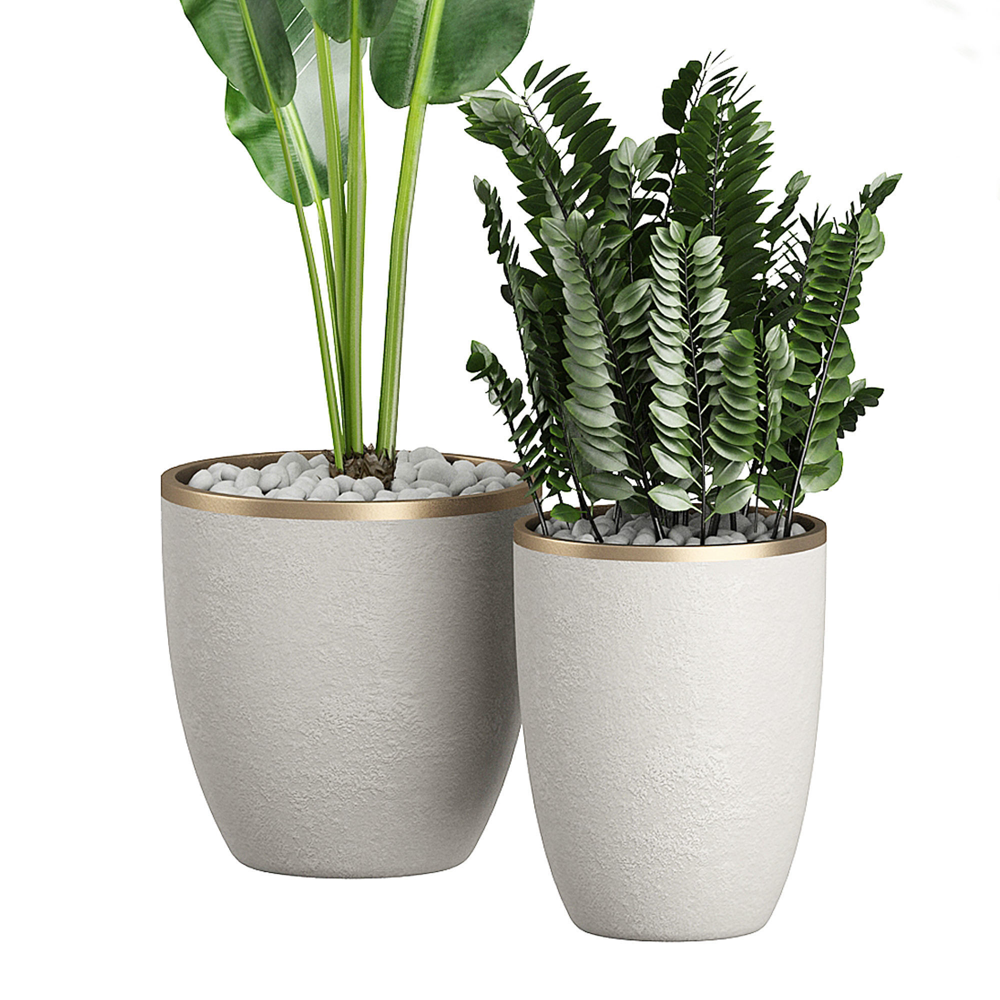 Flower Pack 97 3D model_3