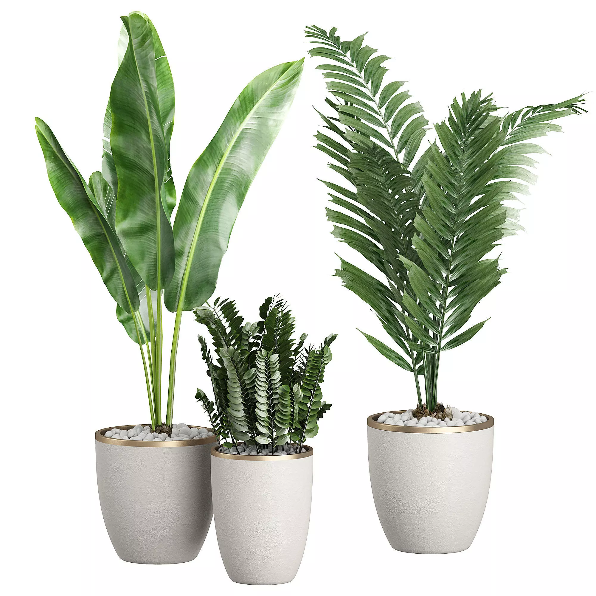 Flower Pack 97 3D model_0