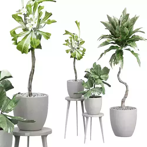 Flower Pack 98 3D model