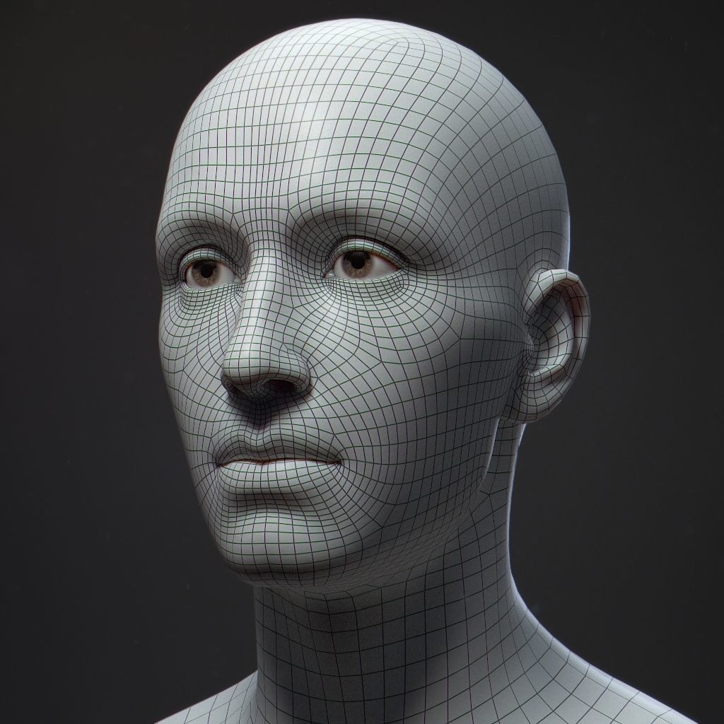 Default Human Head Basemesh LowPoly Low-poly 3D model_8