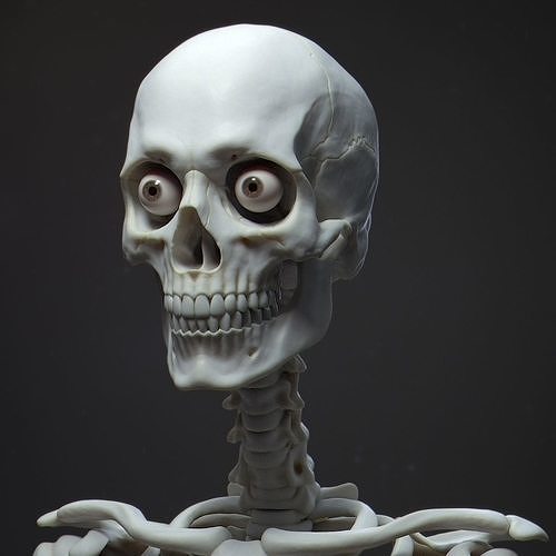 Default Human Skull 3D model