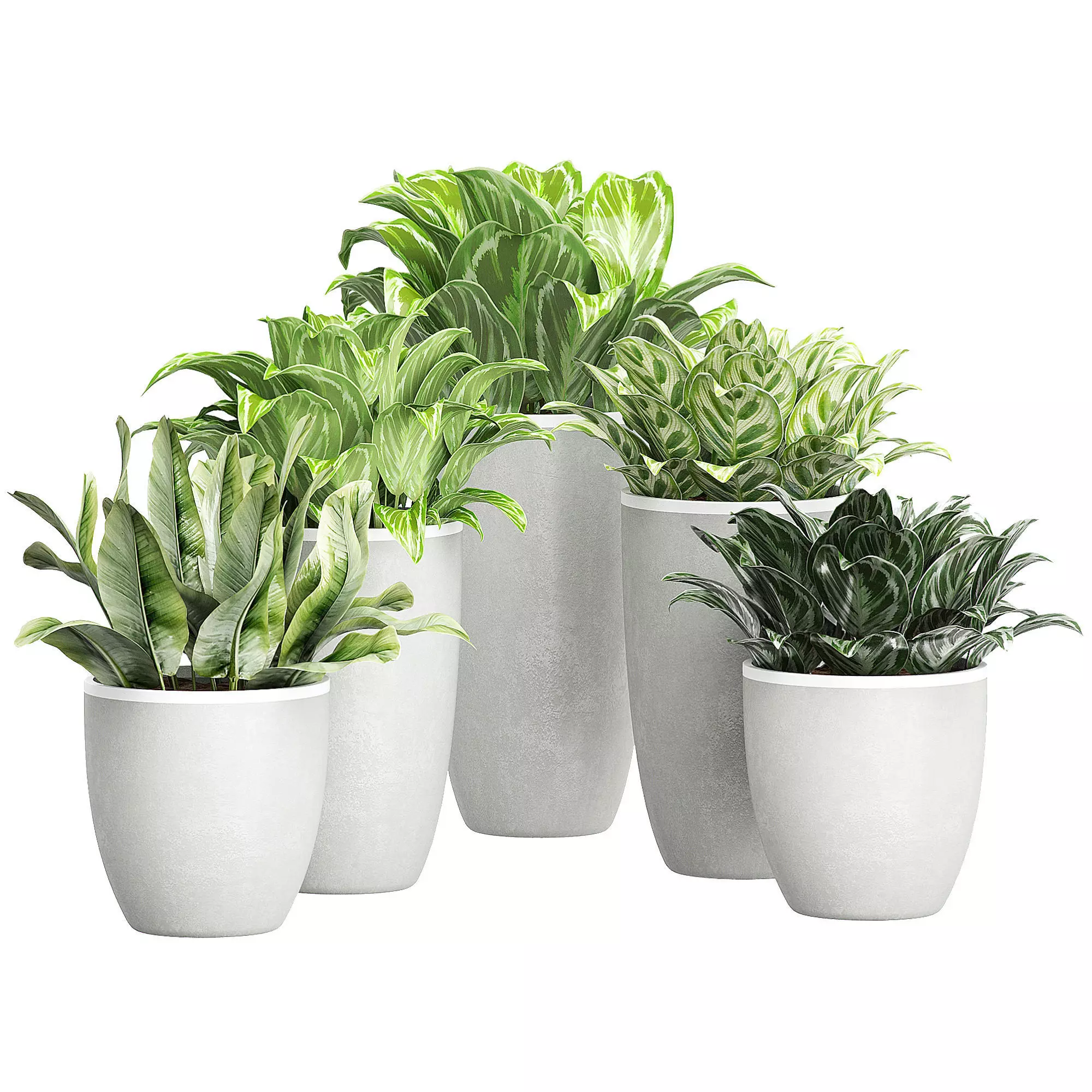 Flower Pack 100 3D model