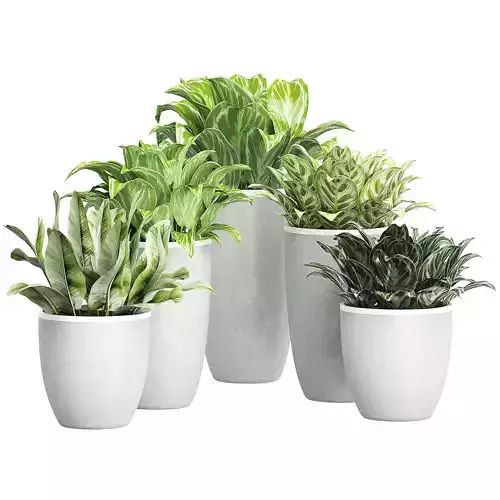 Flower Pack 100 3D model