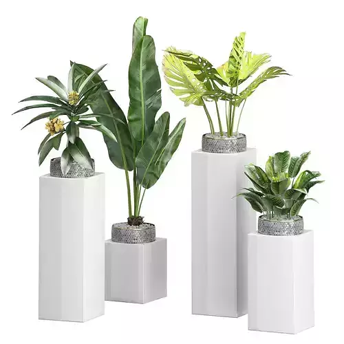 Flower Pack 102 3D model