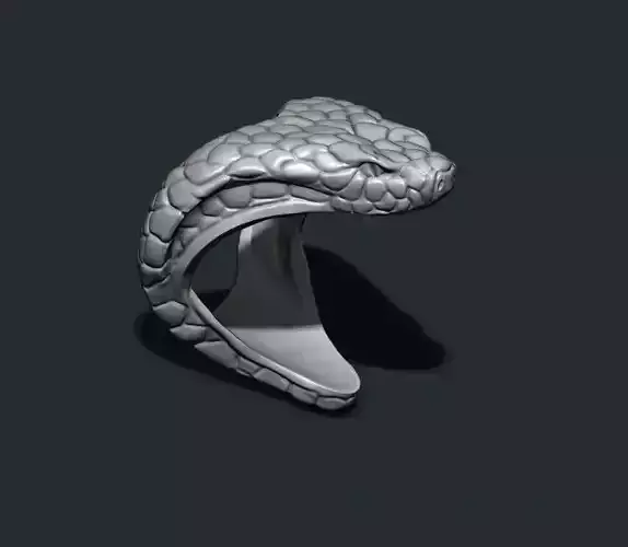 Snake ring 3D print model