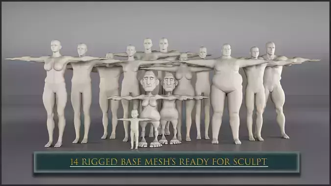 14 Rigged Base Mesh Low-poly 3D model