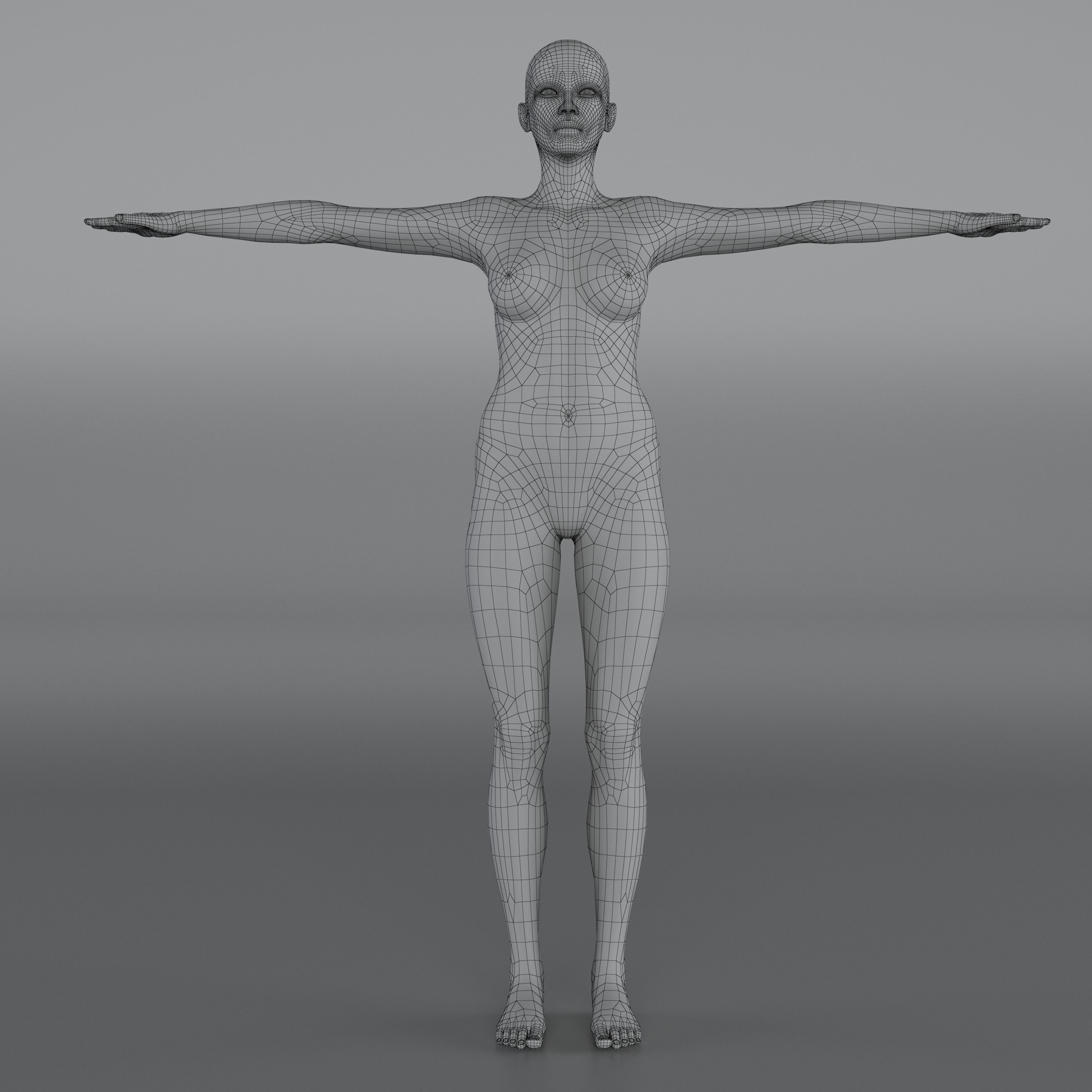 14 Rigged Base Mesh Low-poly 3D model_12