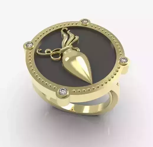 Zodiac ring Aquarius