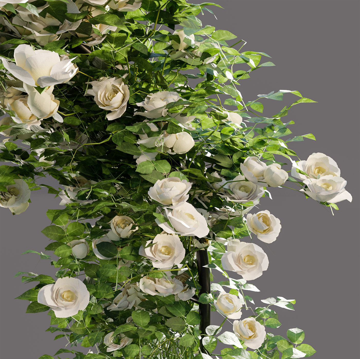 Pergolas collection table with flowers _14