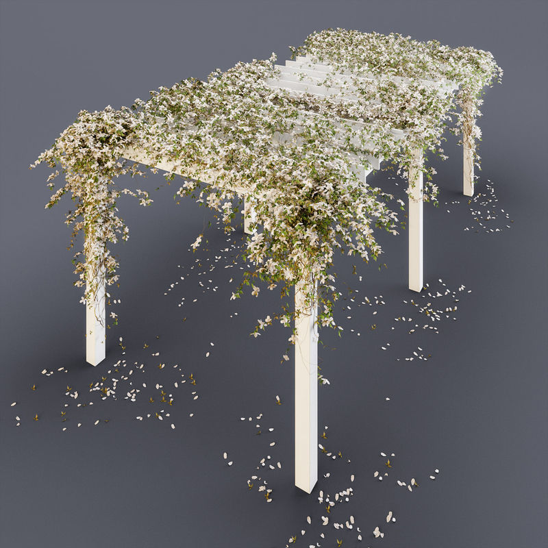 Pergolas collection table with flowers _3