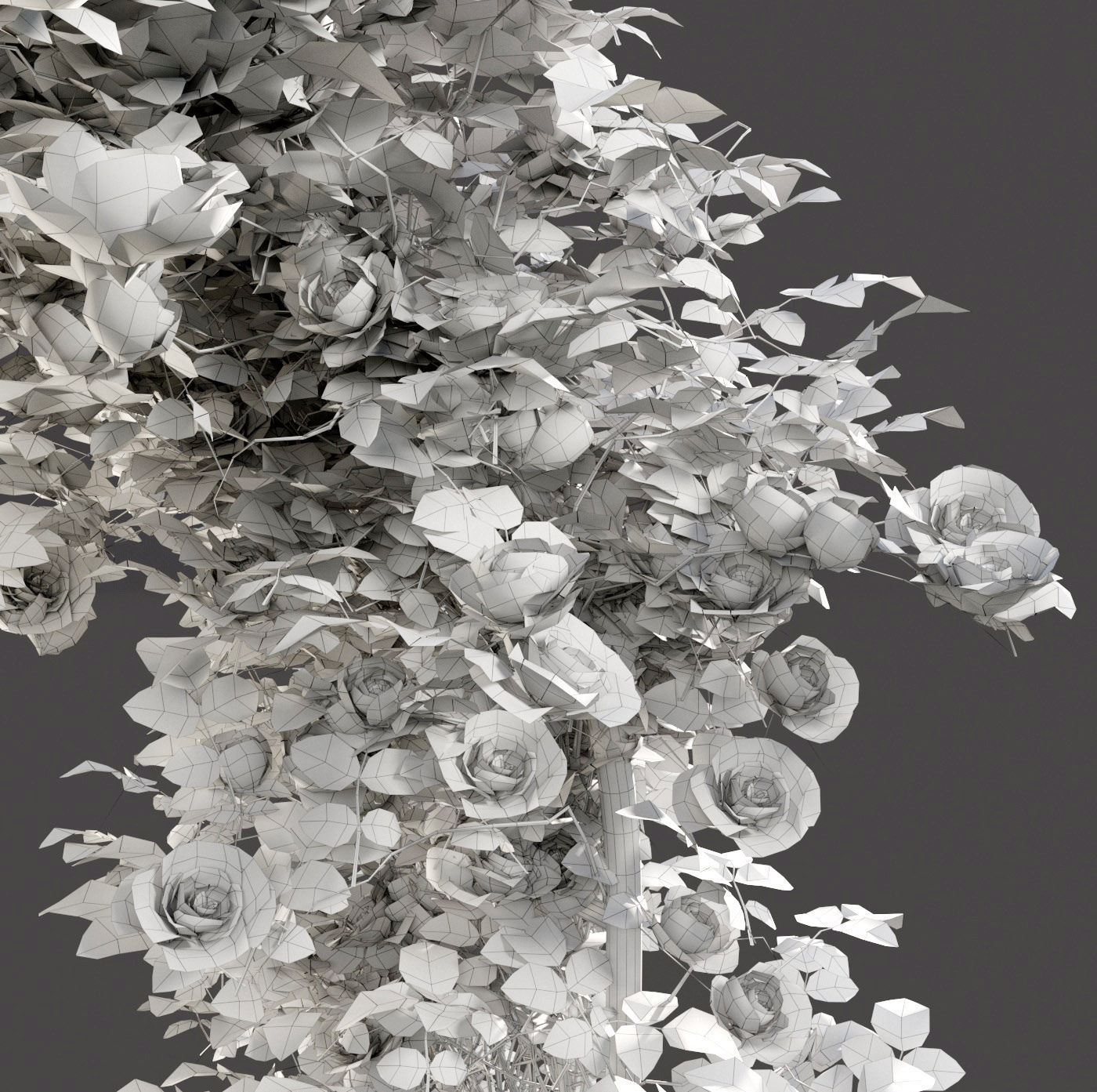 Pergolas collection table with flowers _13