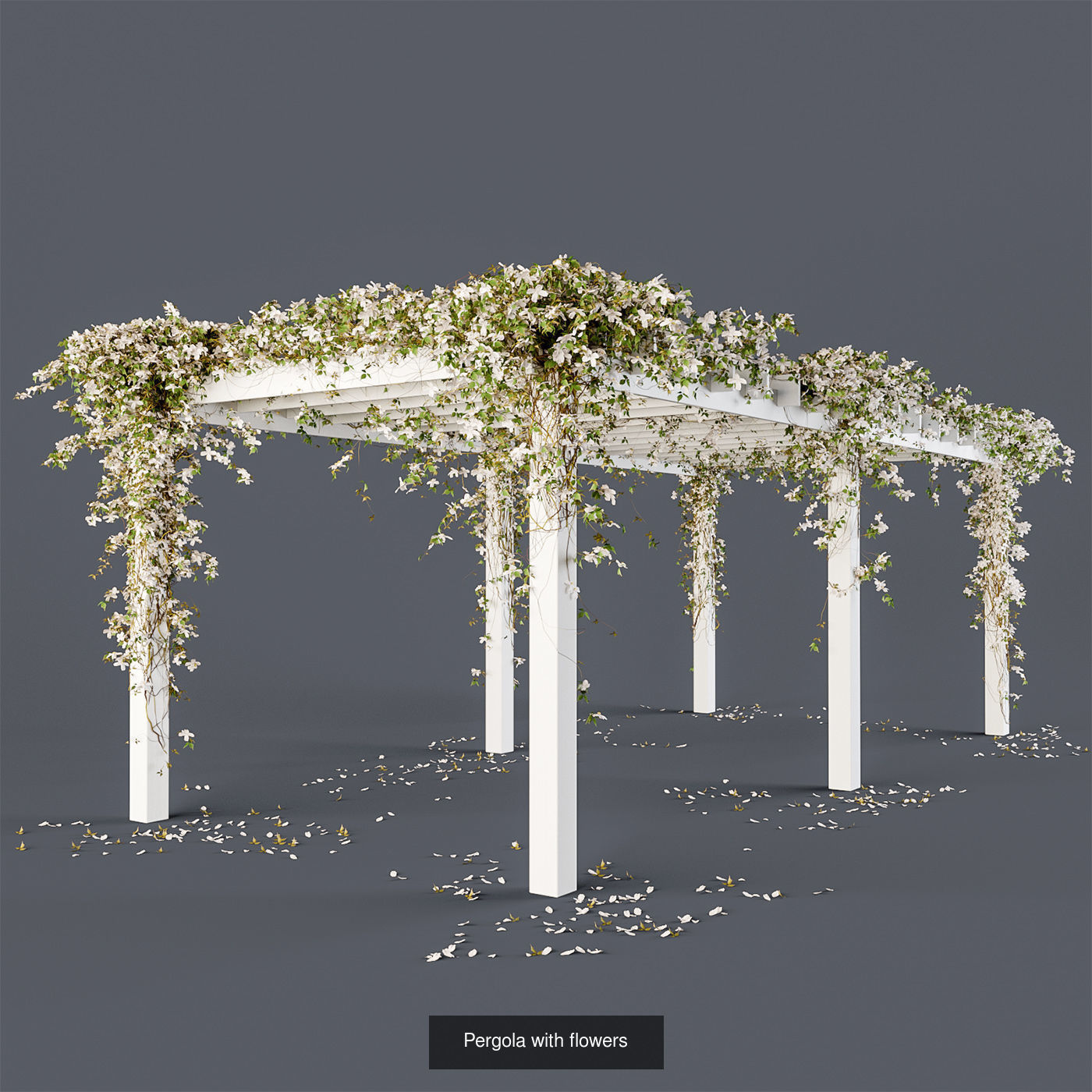 Pergolas collection table with flowers _1