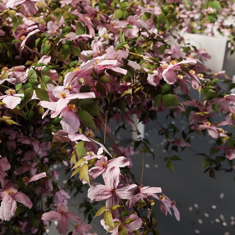 Pergolas collection table with flowers _8