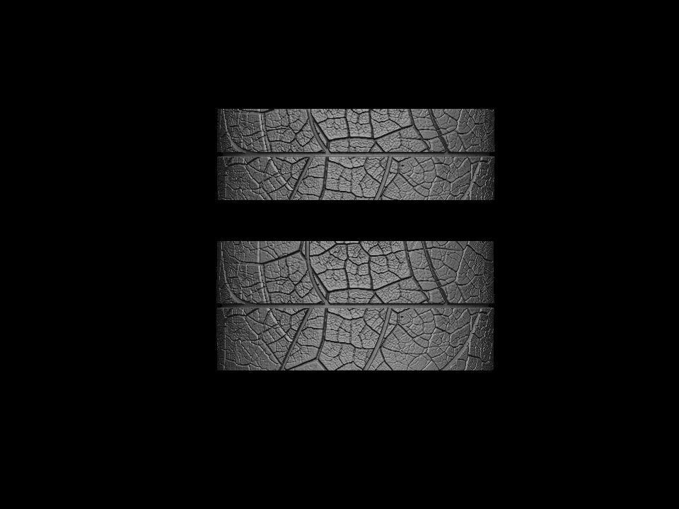 Wedding rings leaf texture 3D print model 3D print model_18