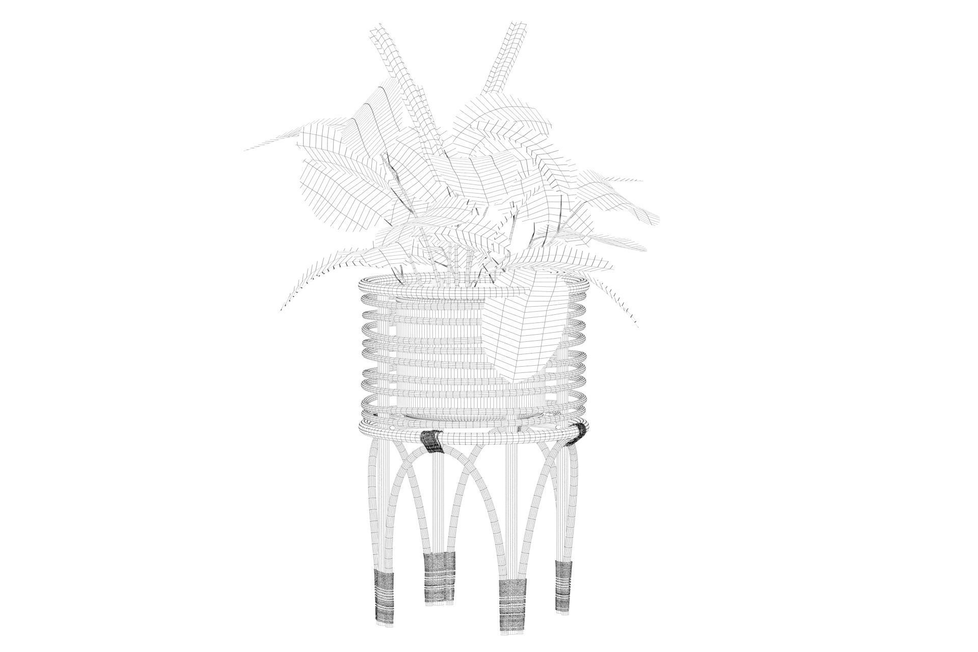 Maranta 01 3D model_32