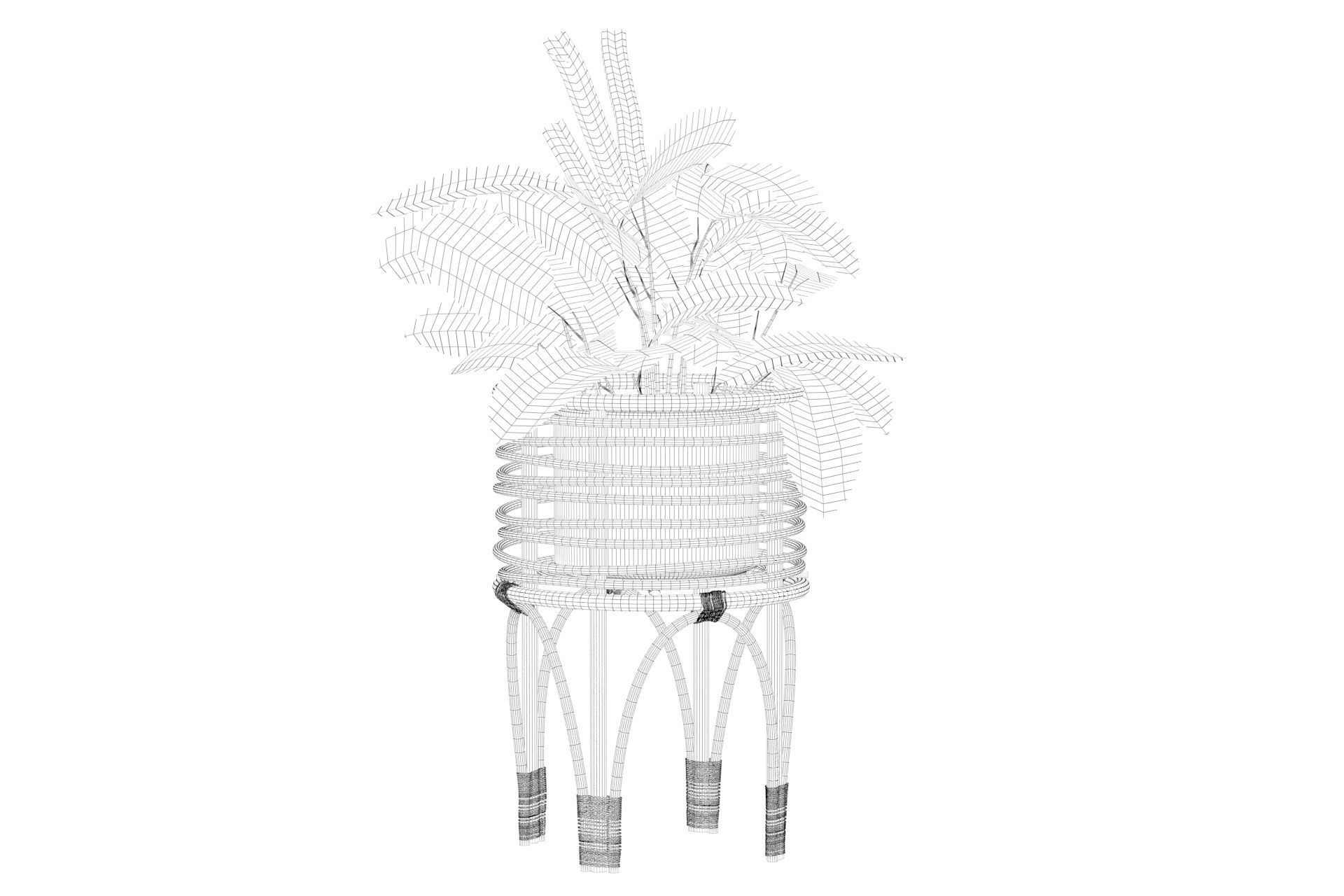 Maranta 01 3D model_25