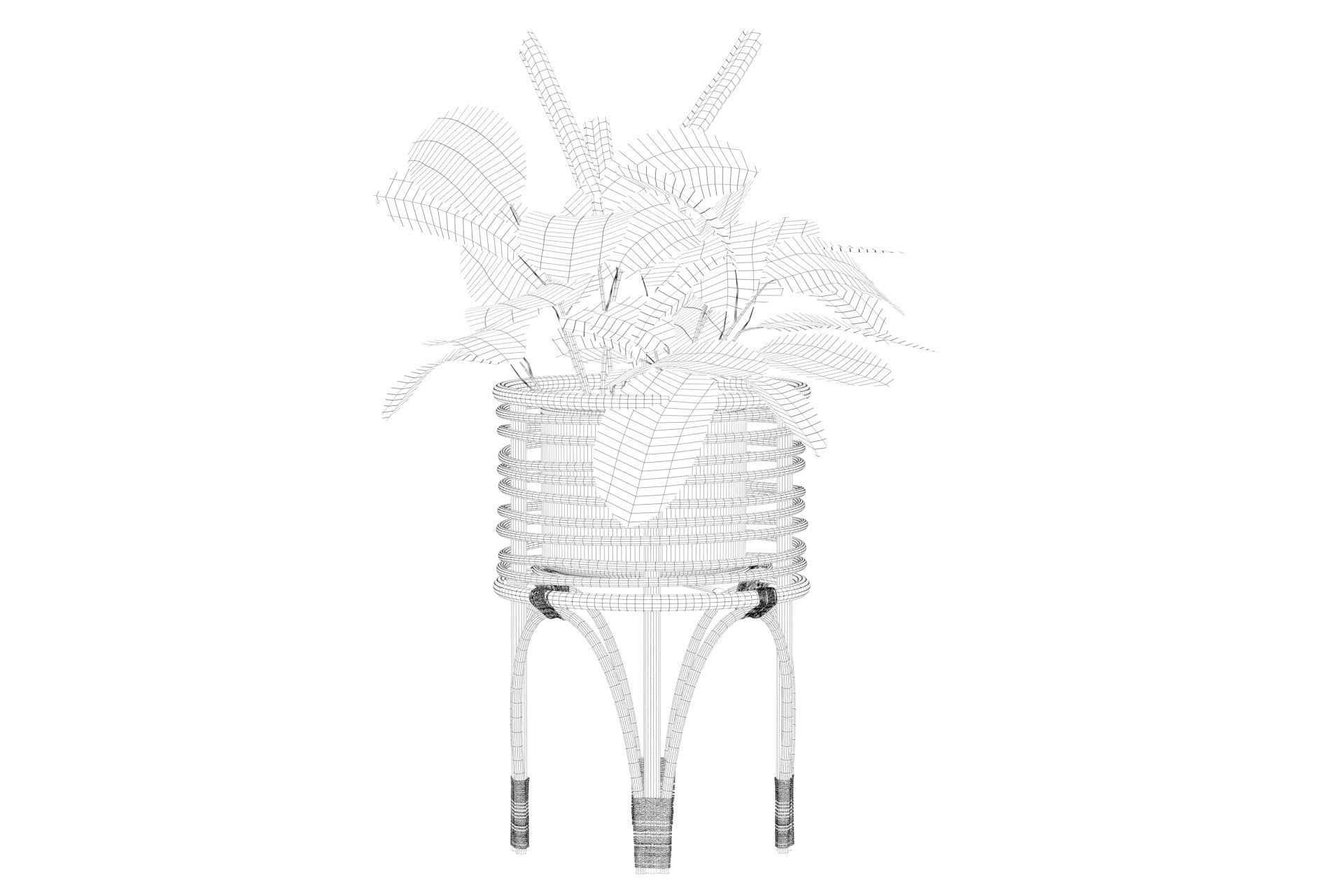 Maranta 01 3D model_8