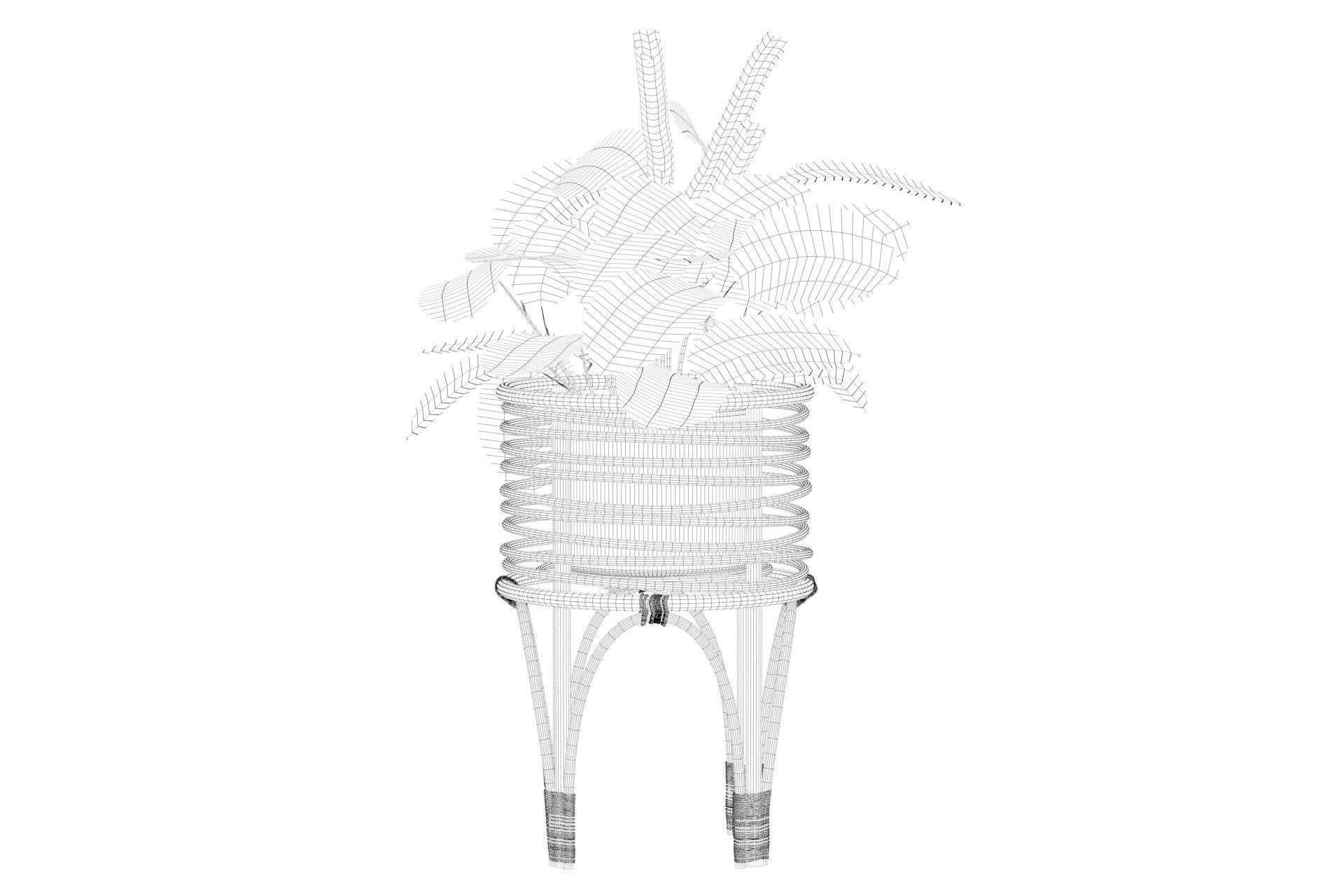 Maranta 01 3D model_18