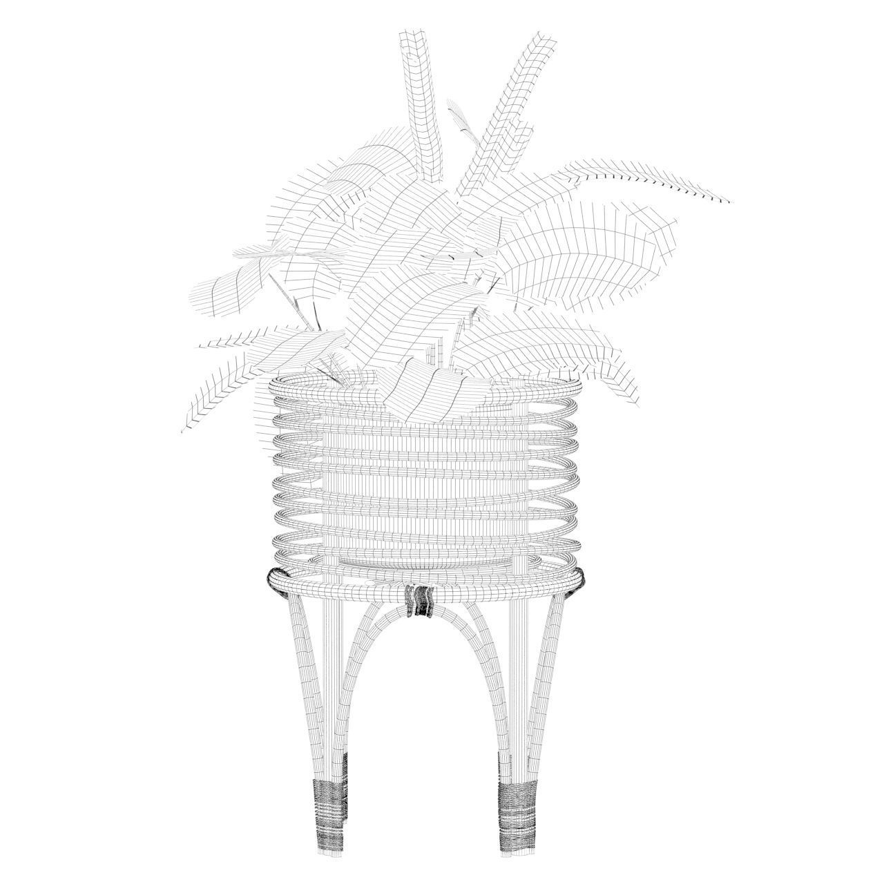 Maranta 01 3D model_12