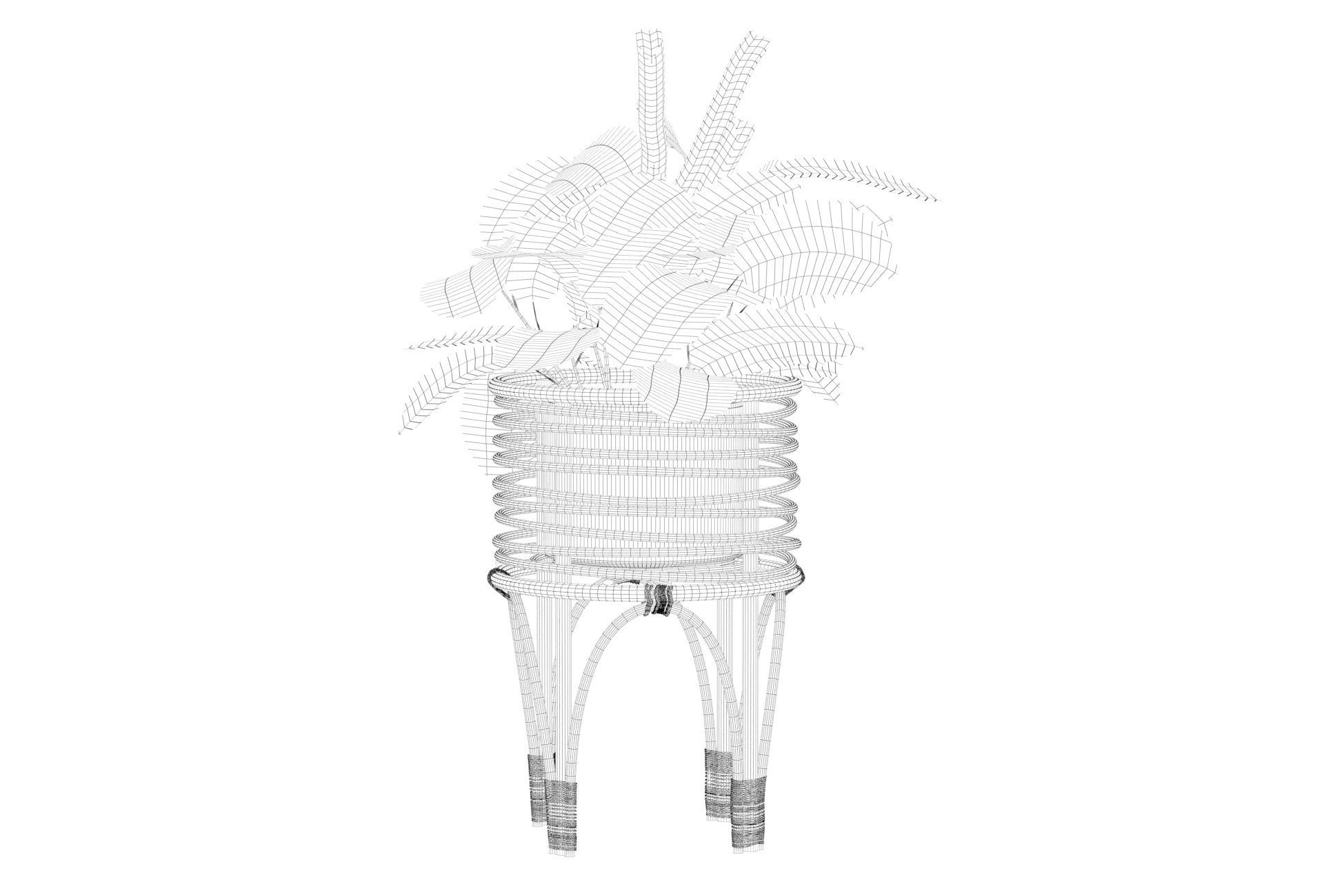 Maranta 01 3D model_16