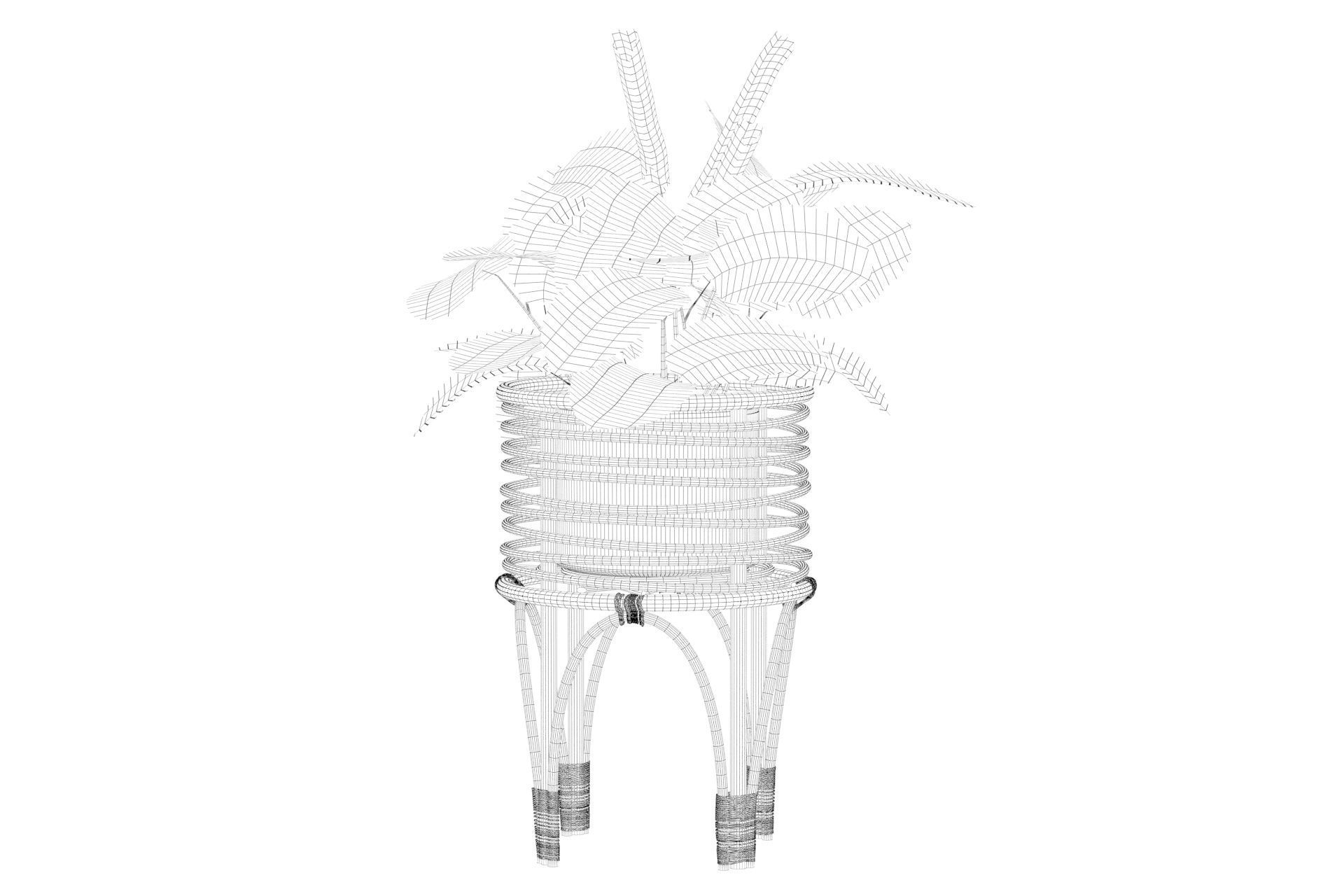 Maranta 01 3D model_41