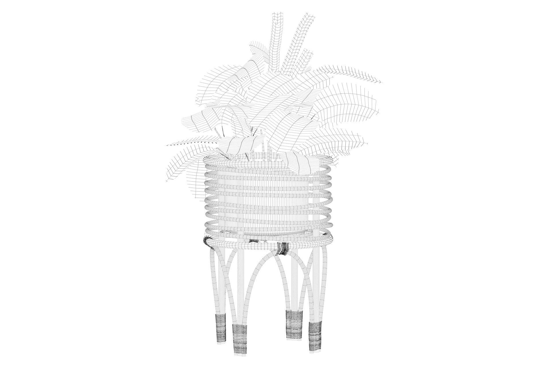 Maranta 01 3D model_22