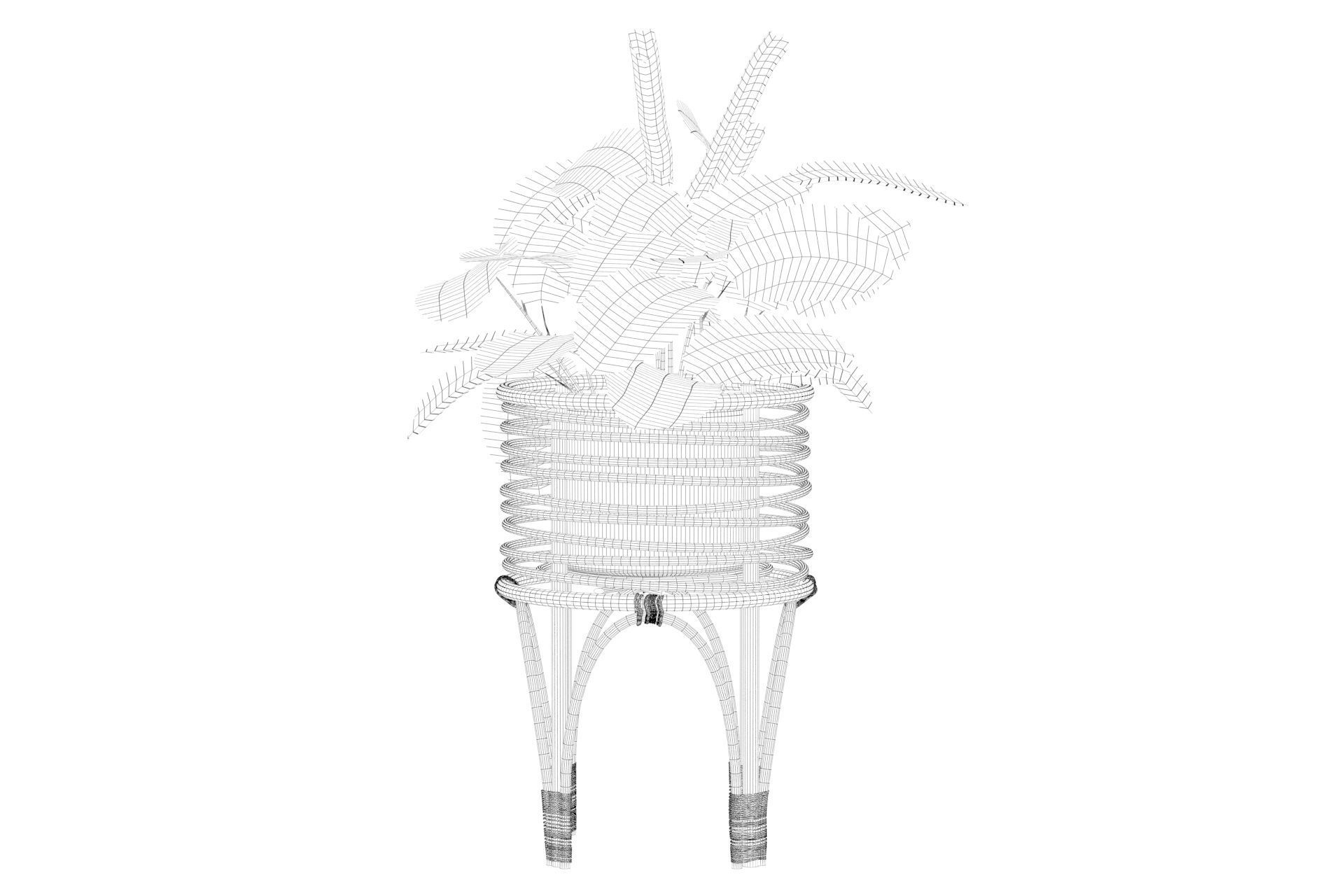 Maranta 01 3D model_13