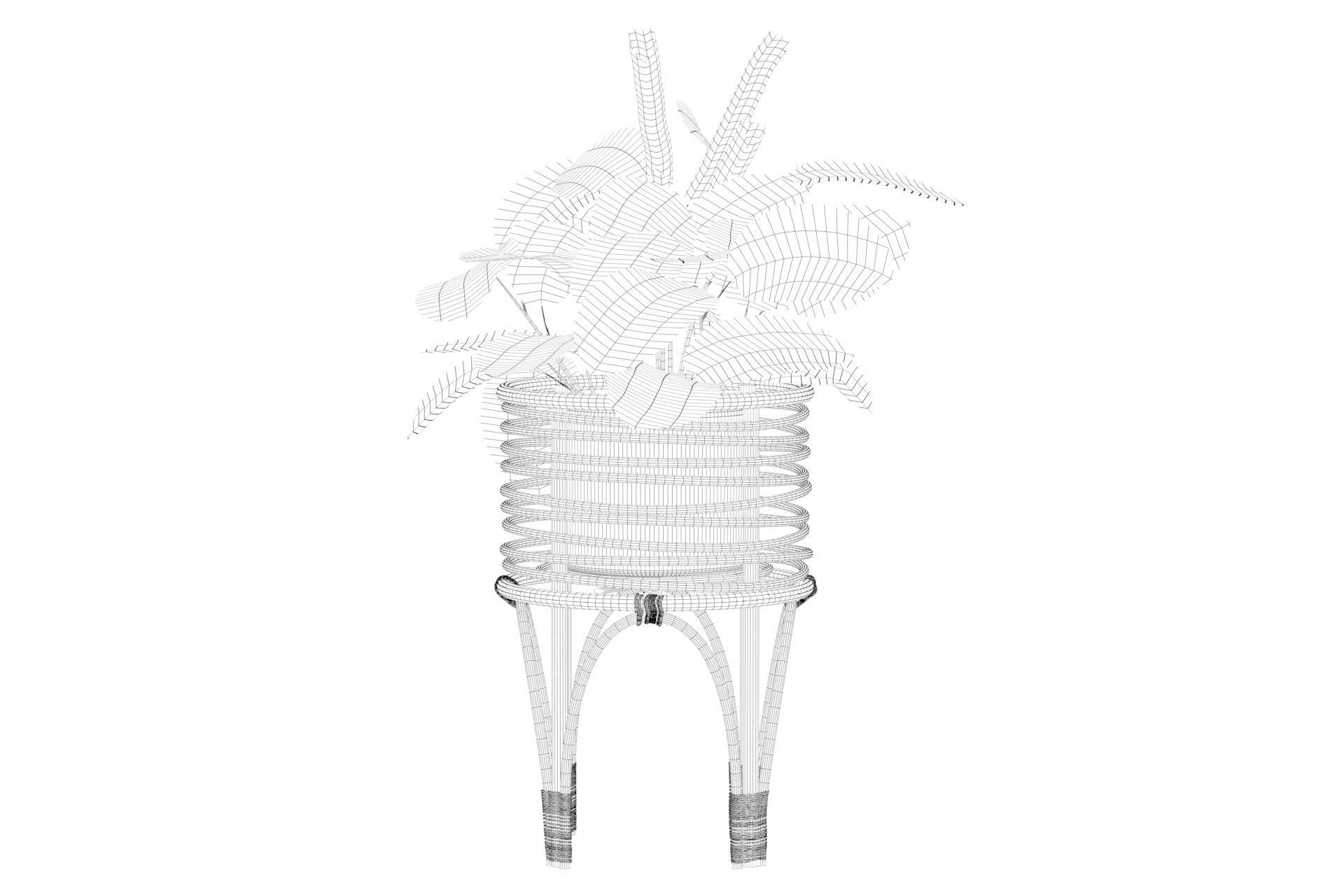 Maranta 01 3D model_43