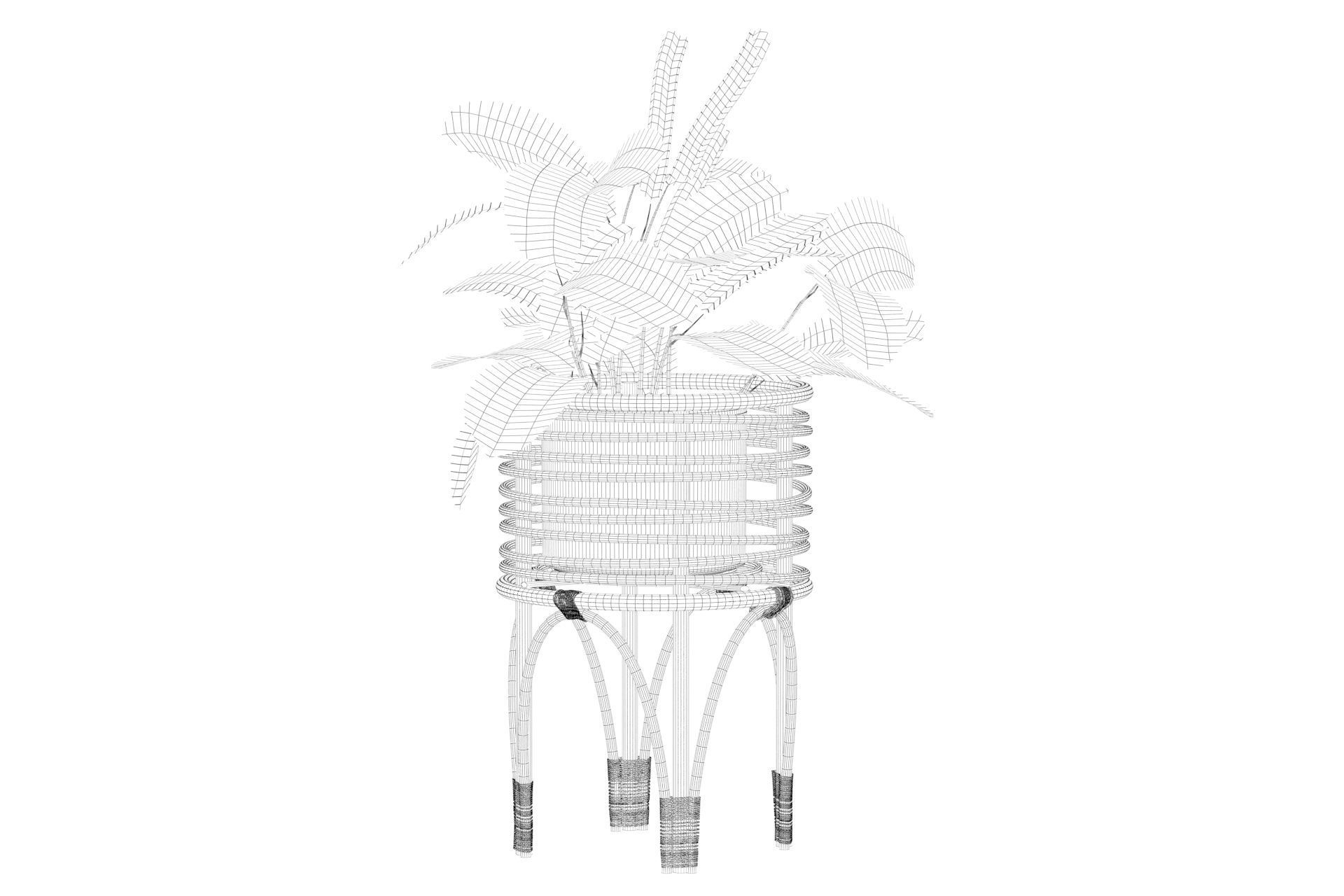 Maranta 01 3D model_27