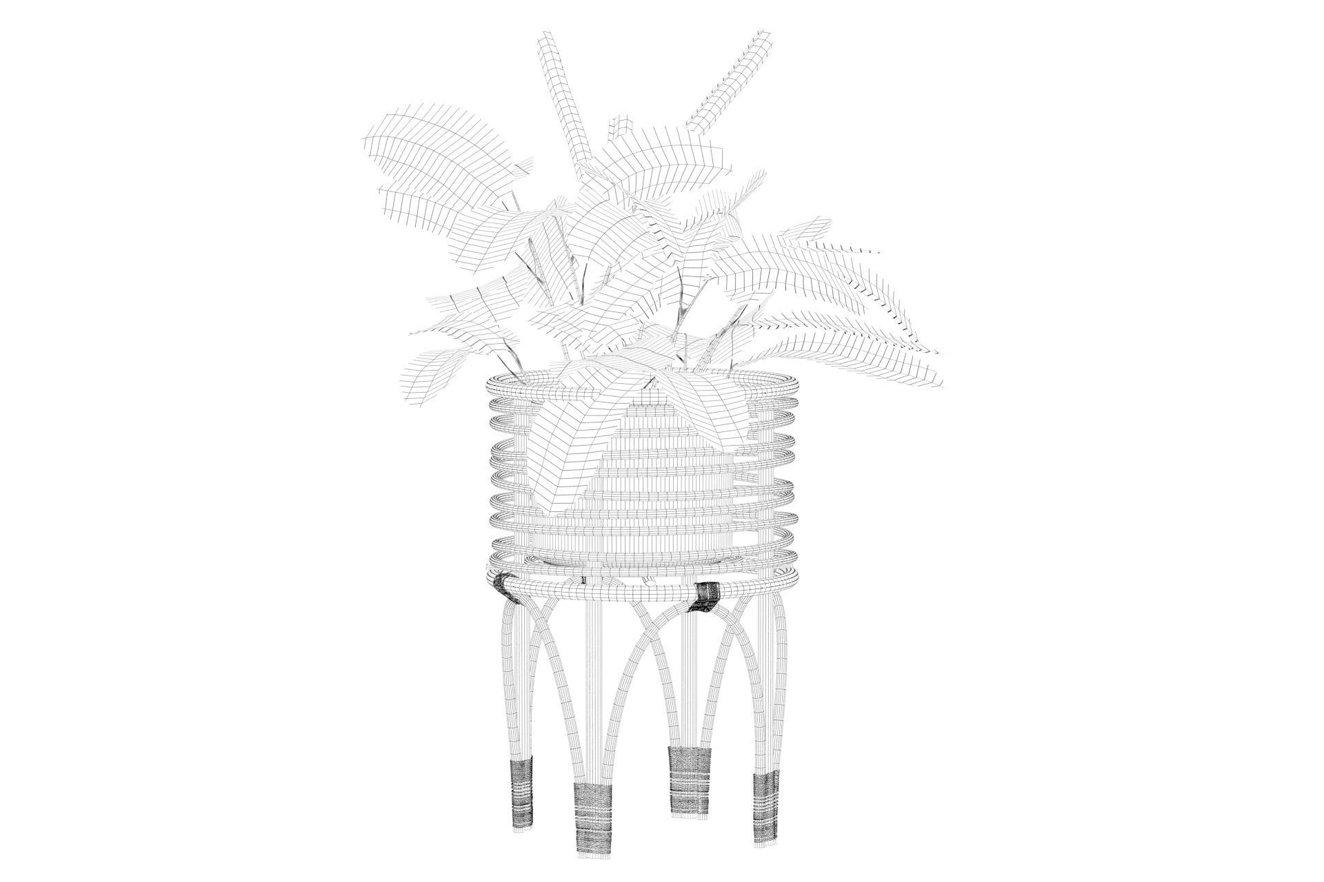 Maranta 01 3D model_26