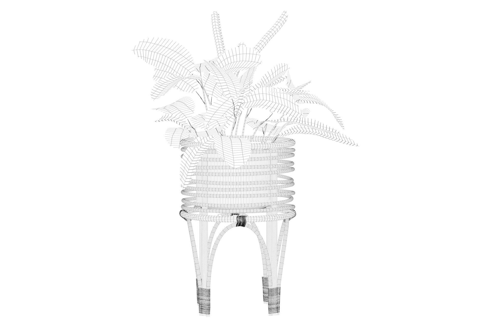 Maranta 01 3D model_29