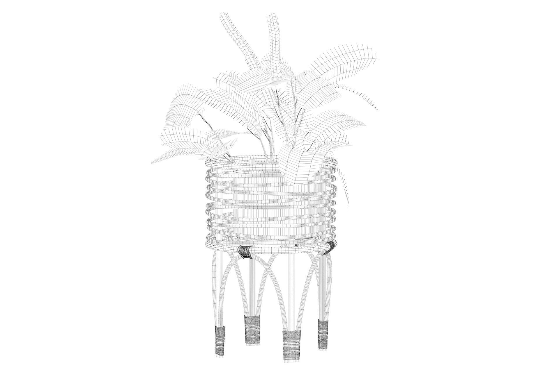 Maranta 01 3D model_9