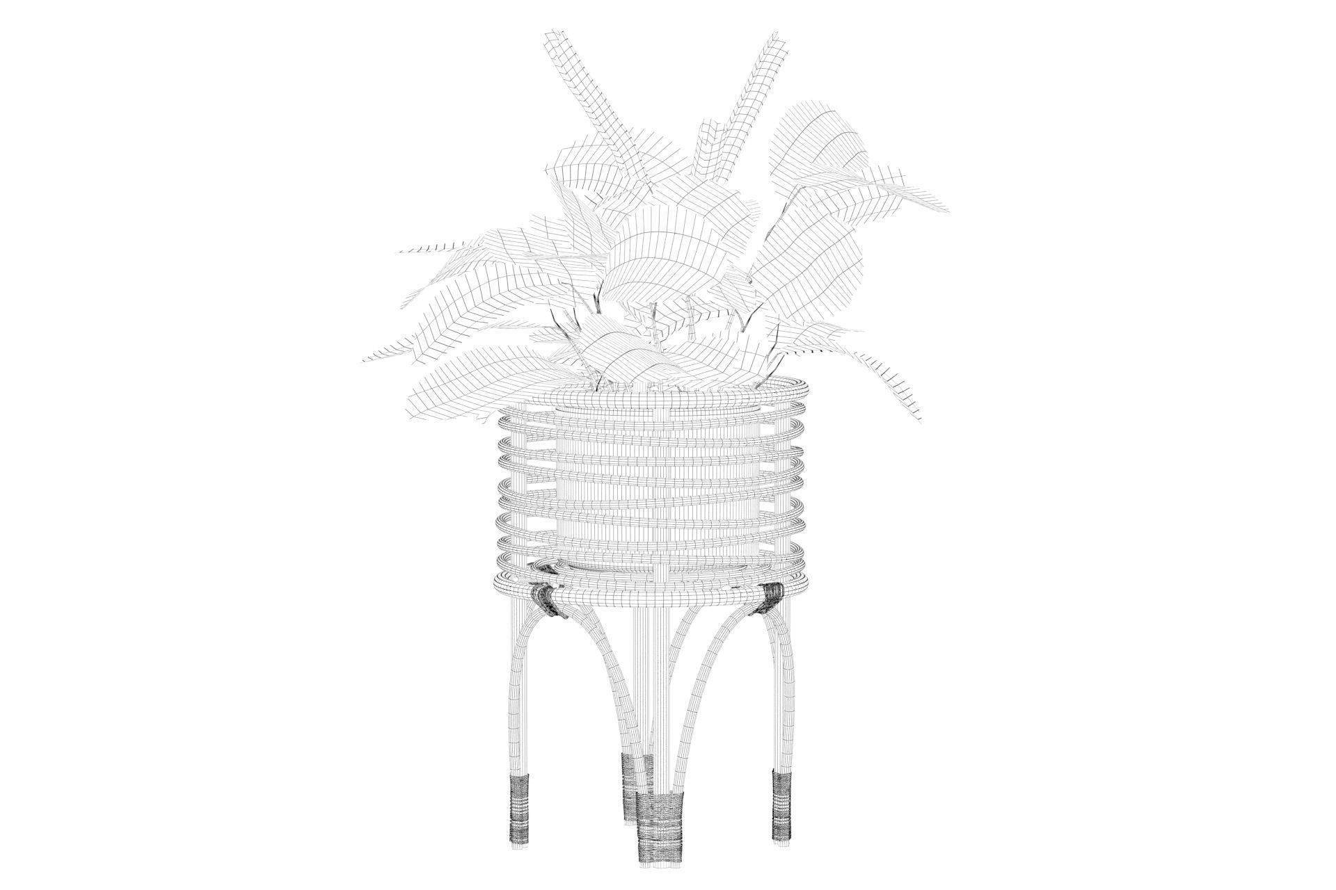 Maranta 01 3D model_35