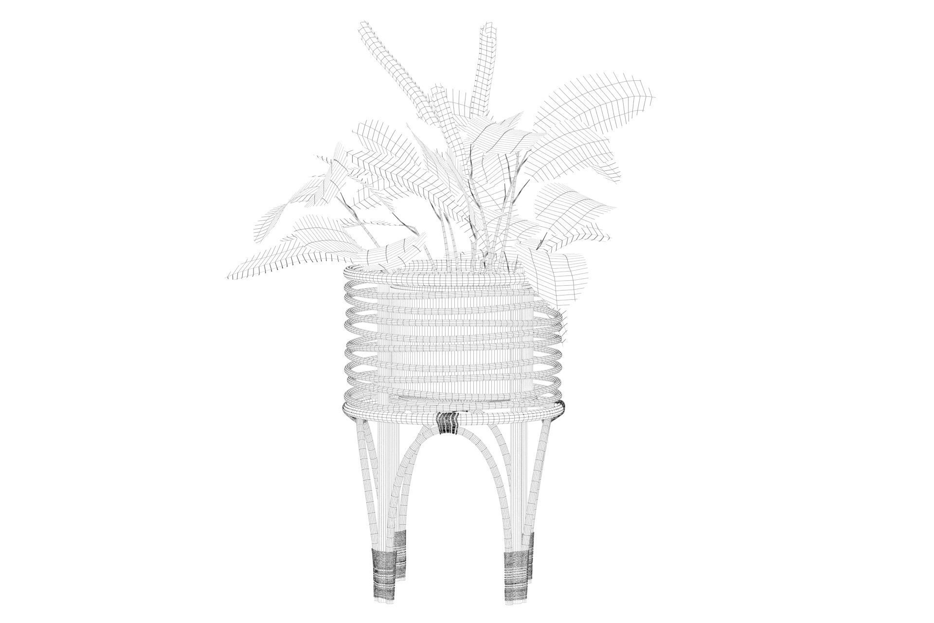 Maranta 01 3D model_28