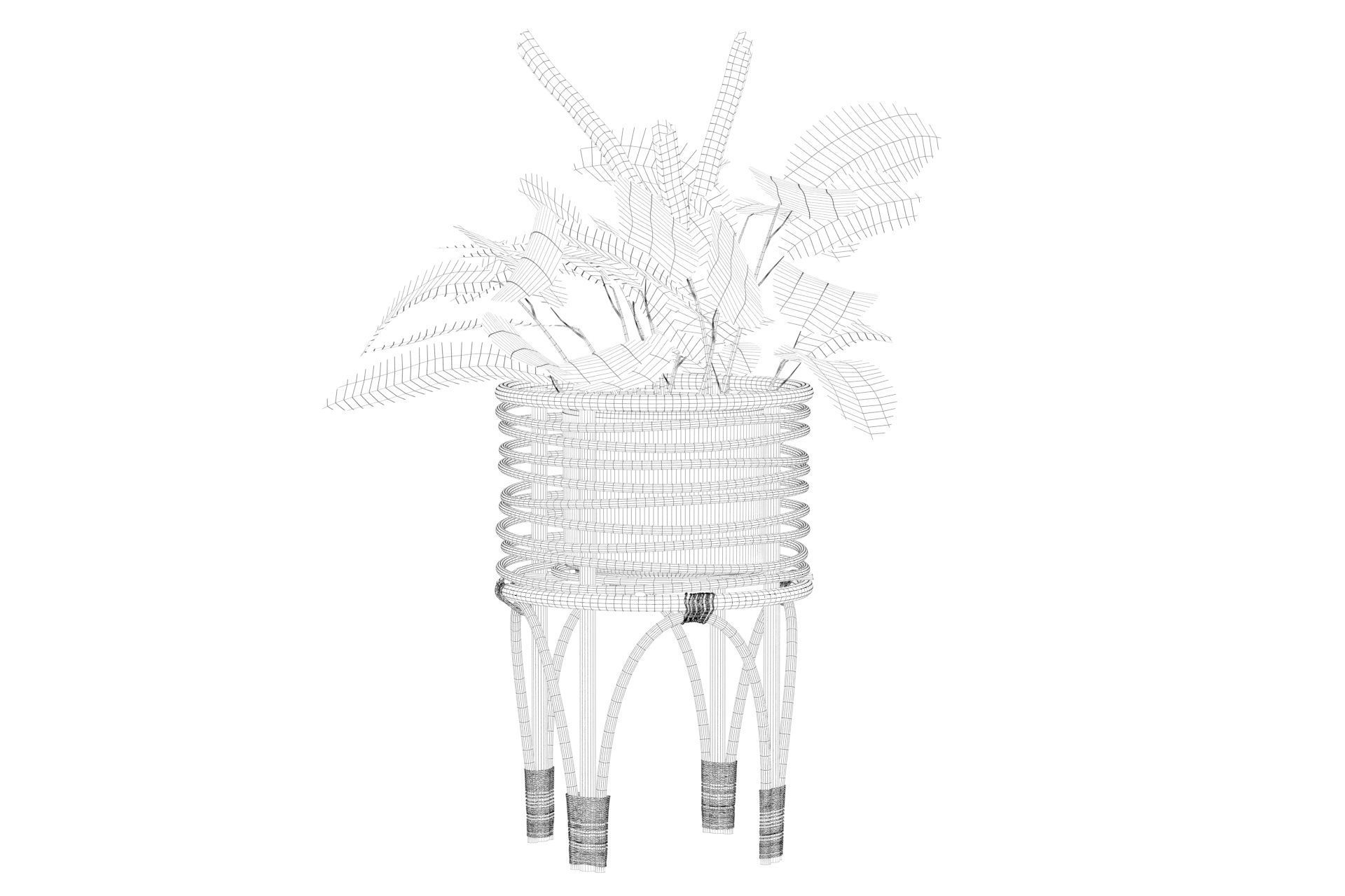 Maranta 01 3D model_38