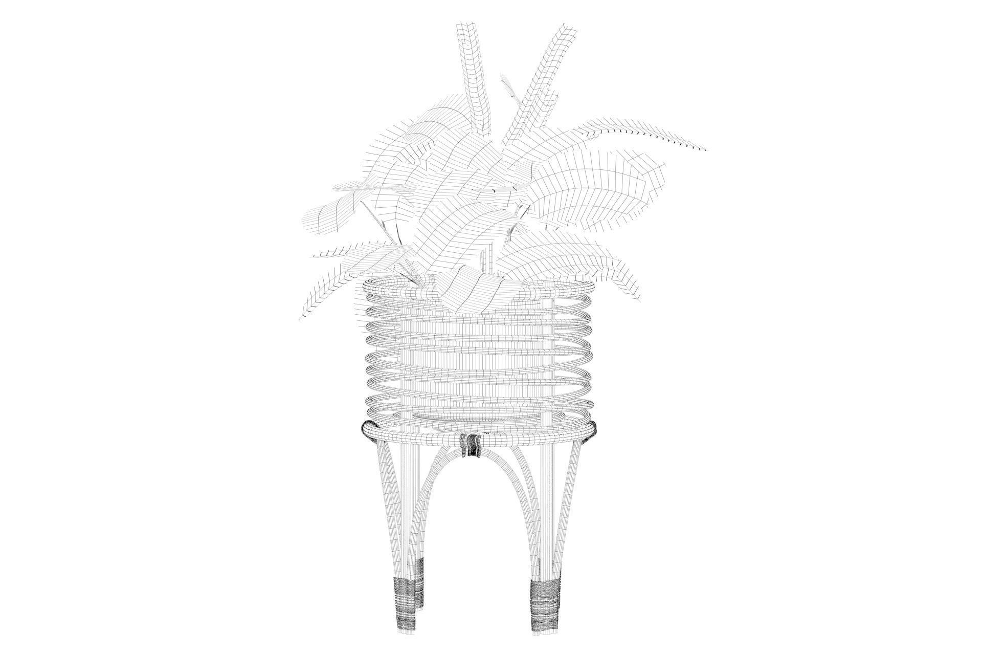 Maranta 01 3D model_42