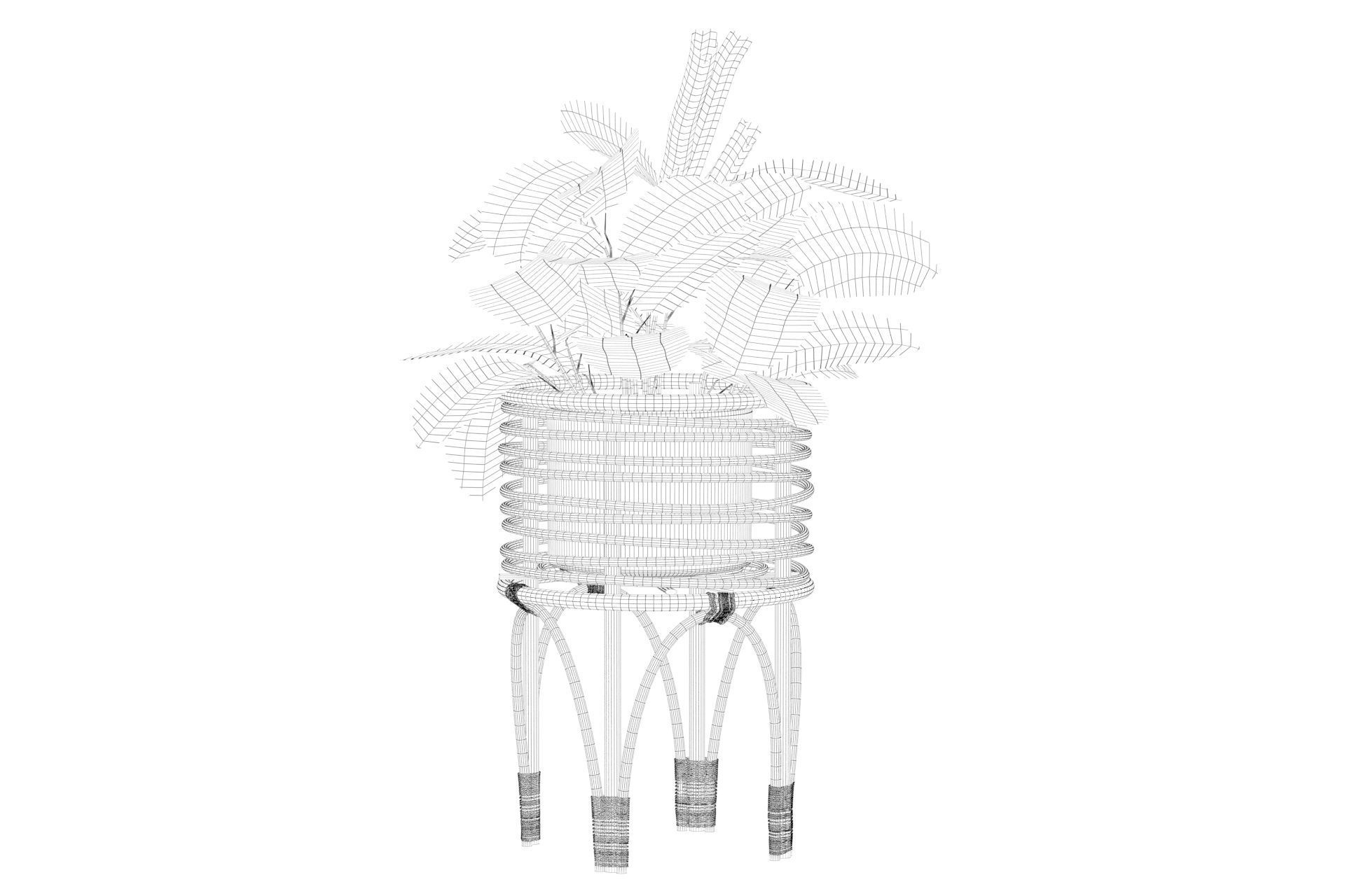 Maranta 01 3D model_24