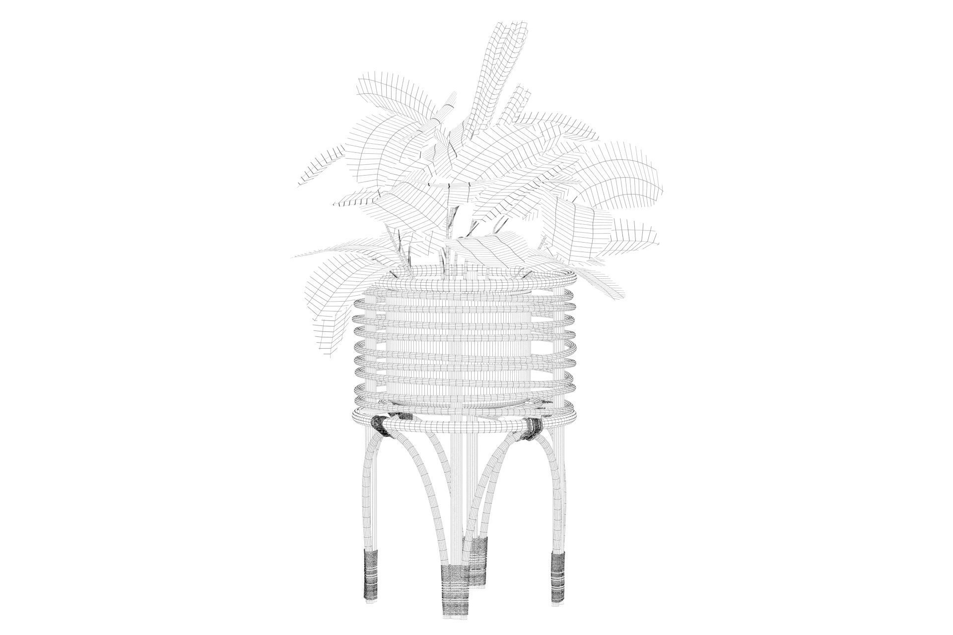 Maranta 01 3D model_23