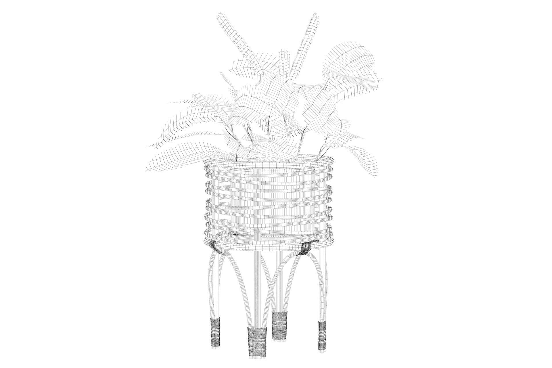 Maranta 01 3D model_33