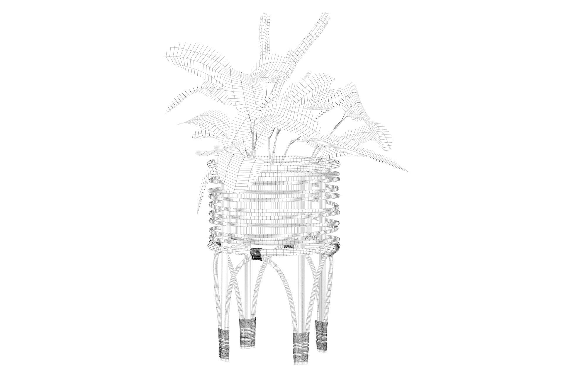 Maranta 01 3D model_21