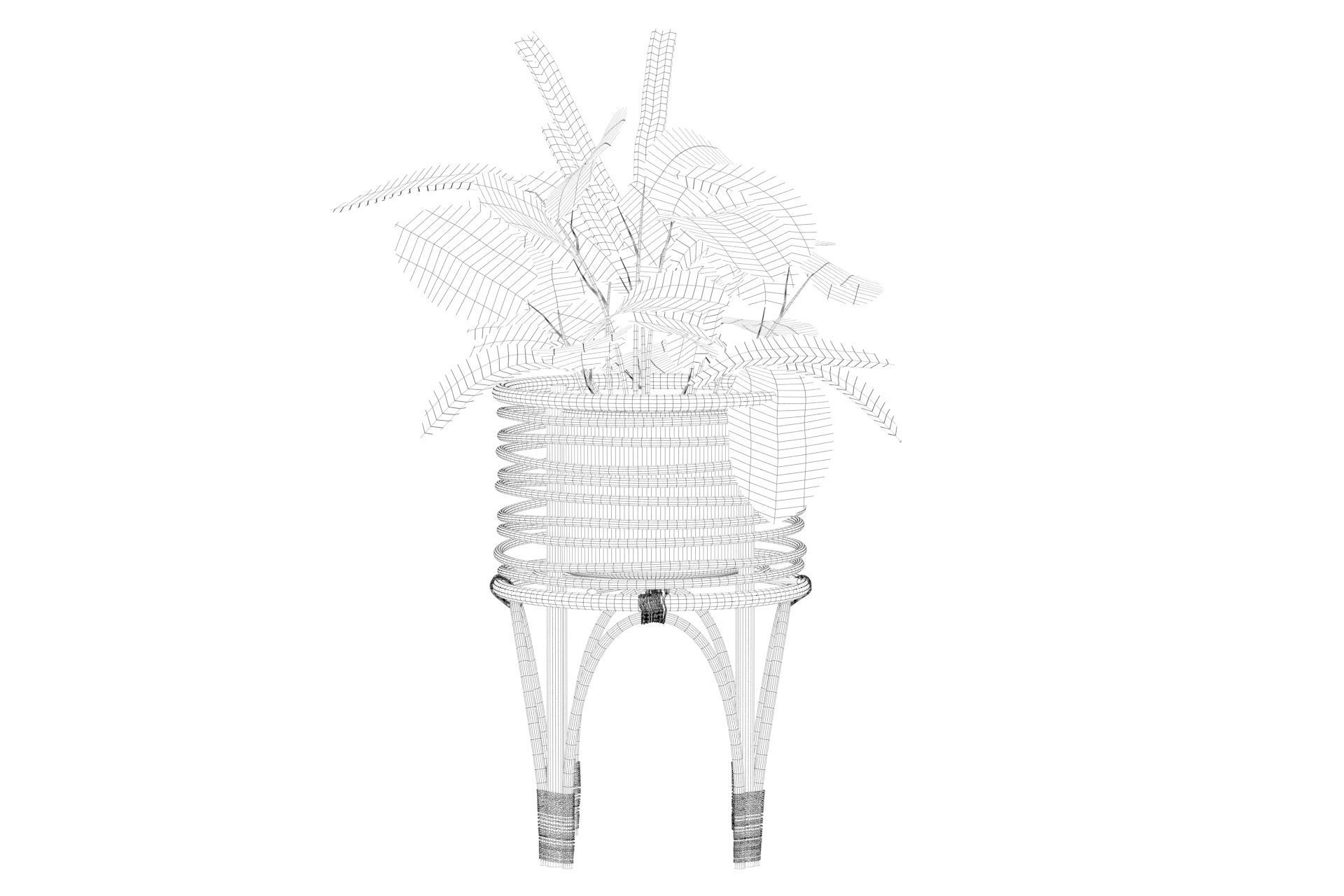 Maranta 01 3D model_36