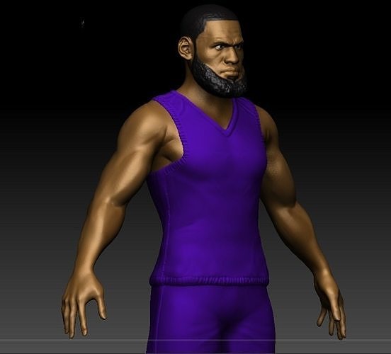 Lebron James 3D printable model 3D print model