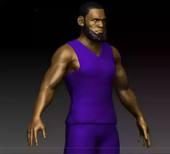Lebron James 3D printable model 3D print model