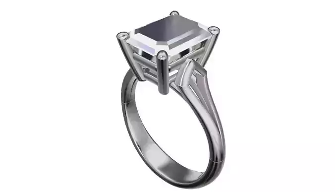 p13 ring 3D print model