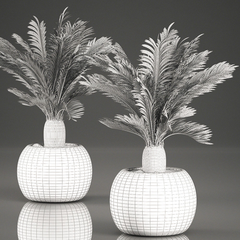 Cycas palm for the interior in basket 632 3D model_6
