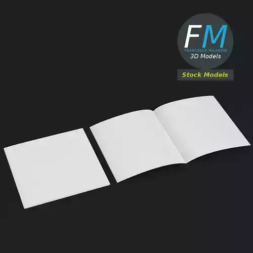 Square brochure mockups 3D model