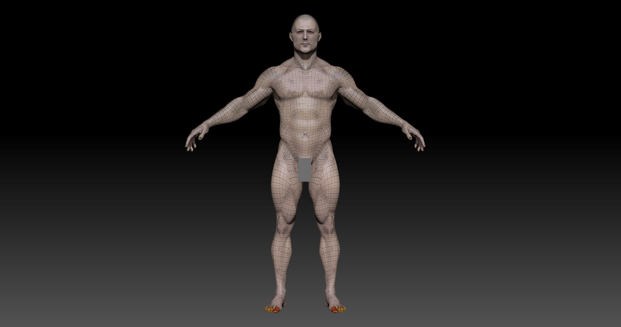 Man Body- Complete Zbrush  3D model_2