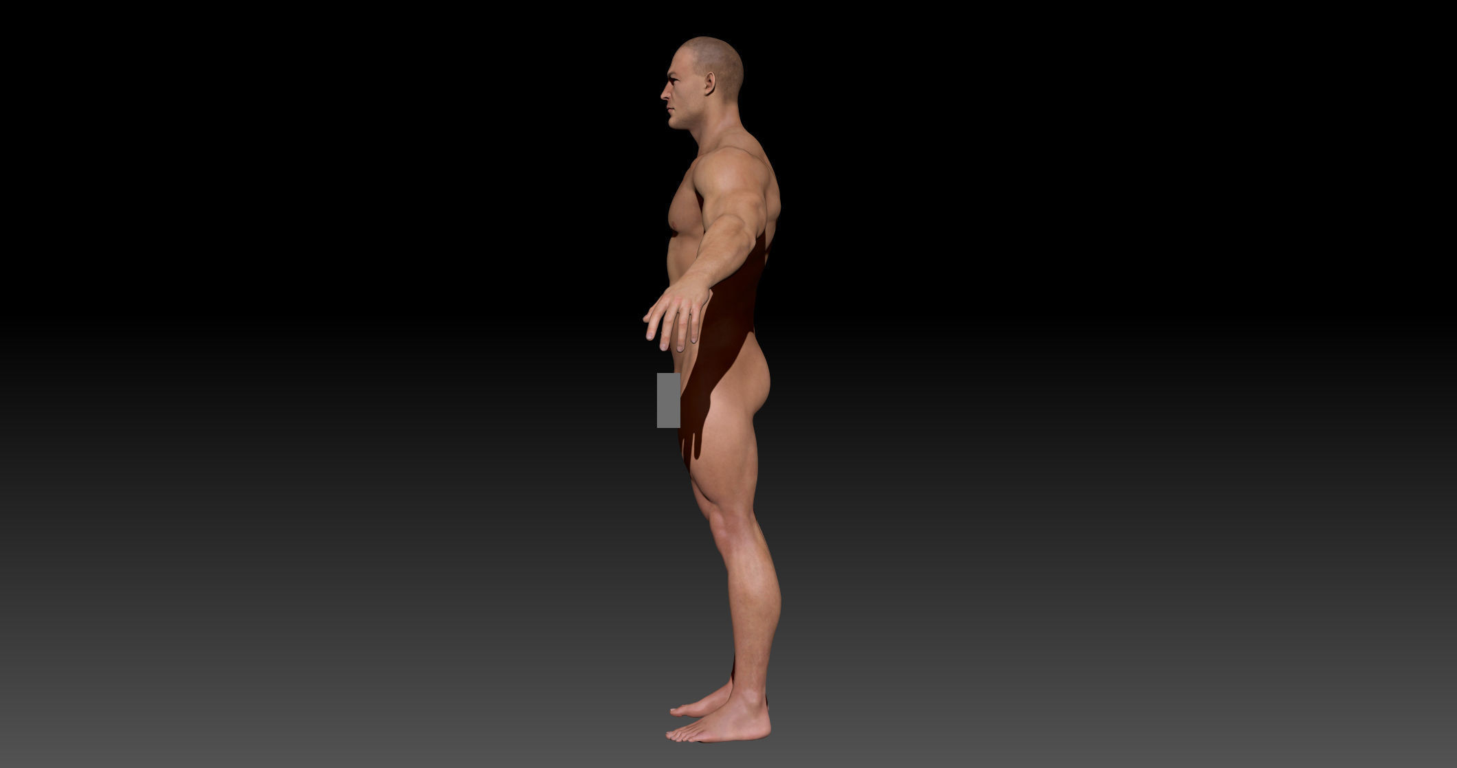 Man Body- Complete Zbrush  3D model_4
